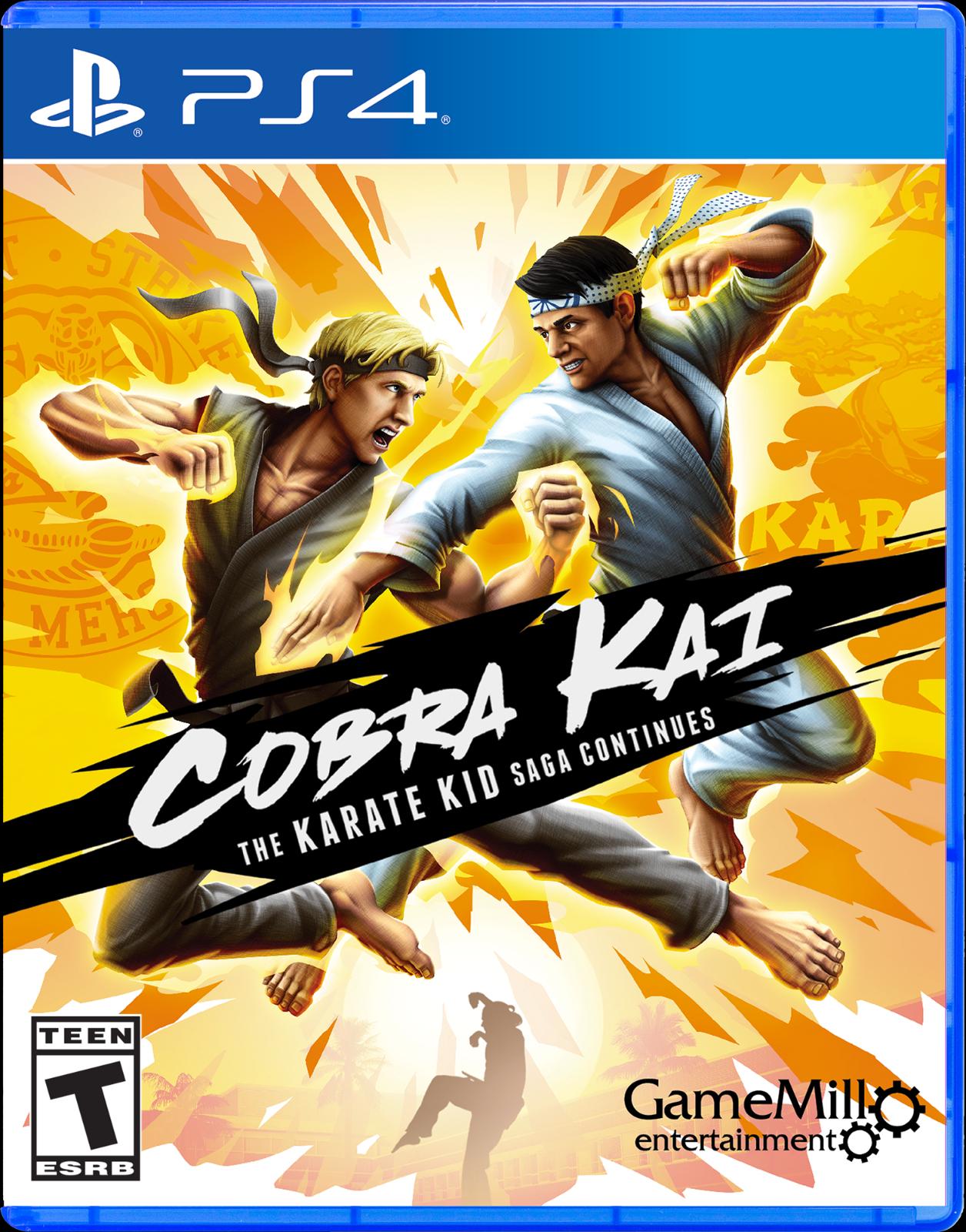 Cobra Kai: The Karate Kid Saga Continues - PlayStation 4