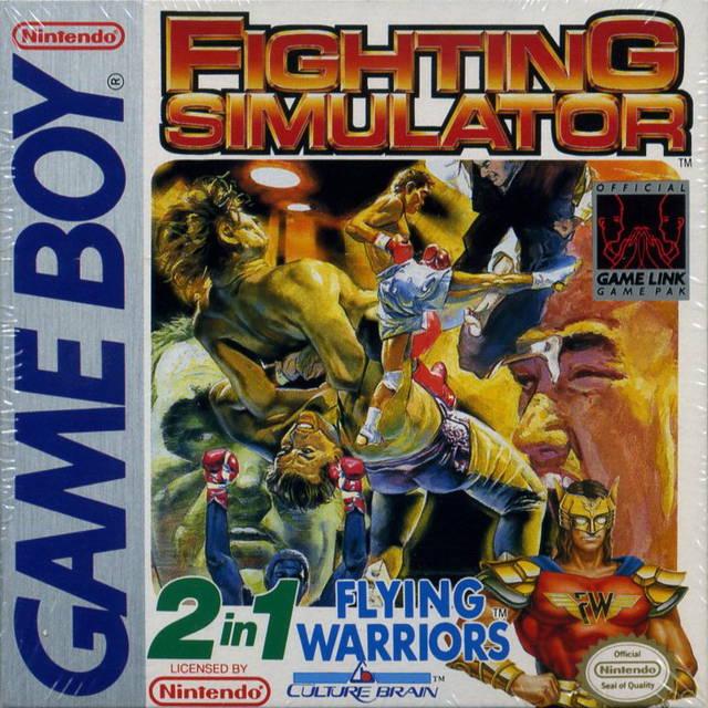 Fighting Simulator: 2-in-1 Flying Warriors - Game Boy