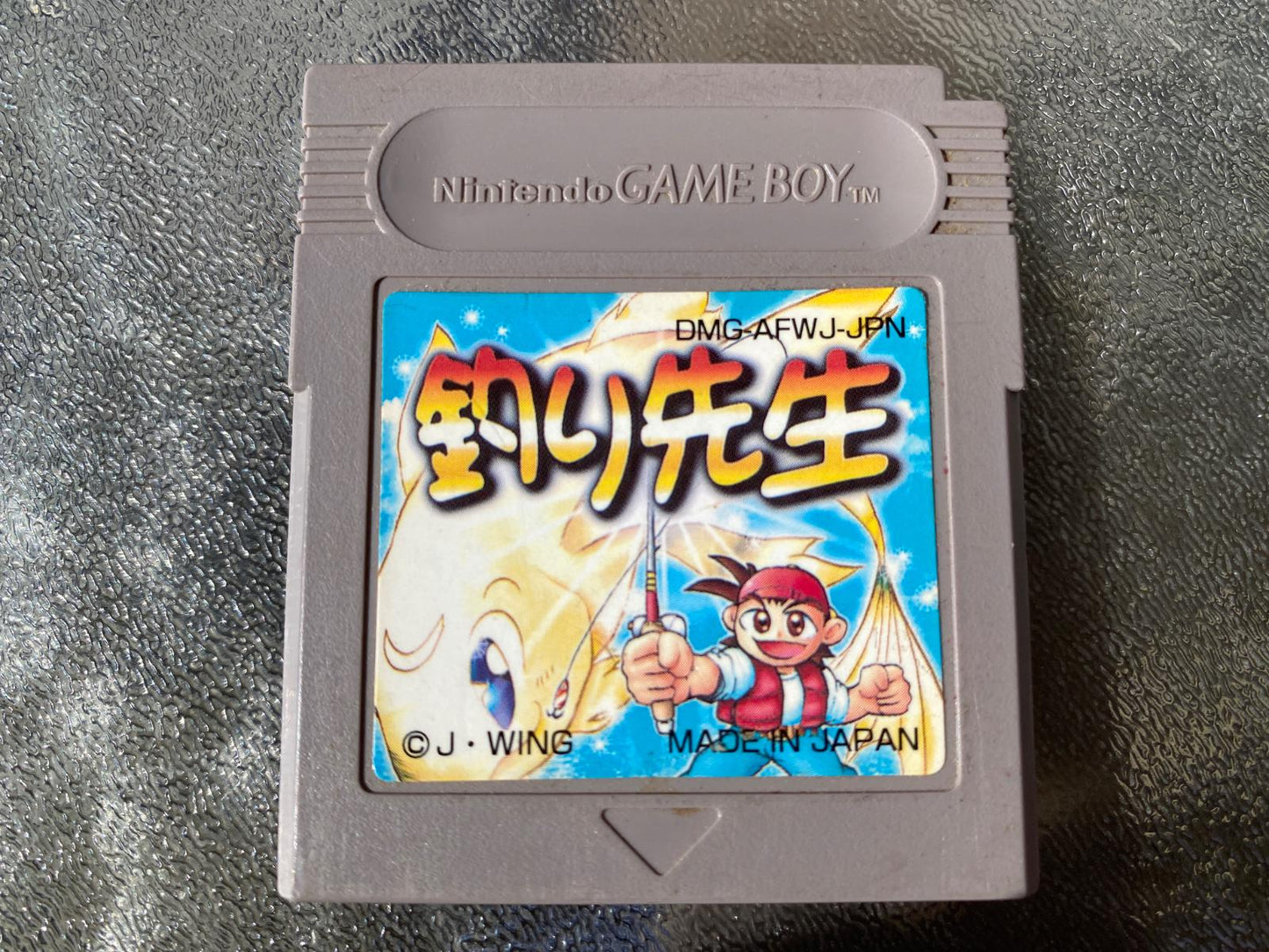 Fishing Teacher - Game Boy