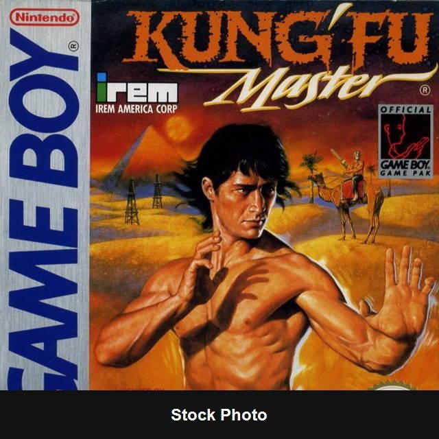 Kung Fu Master - Game Boy