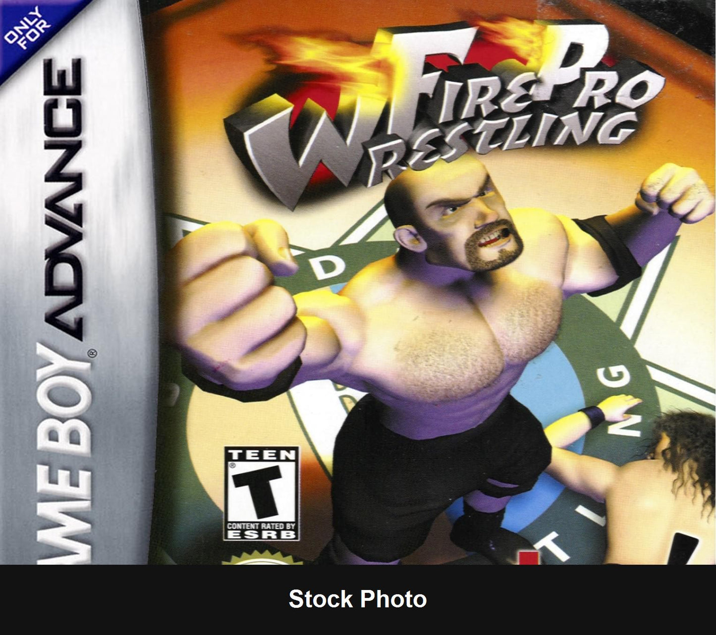 Fire Pro Wrestling - Game Boy Advance