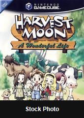 Harvest Moon A Wonderful Life - GameCube