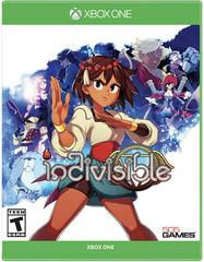 Indivisible *Pre-Owned*