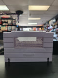 The Pagemaster - SNES