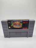 Joe & Mac 2 Lost in the Tropics - SNES