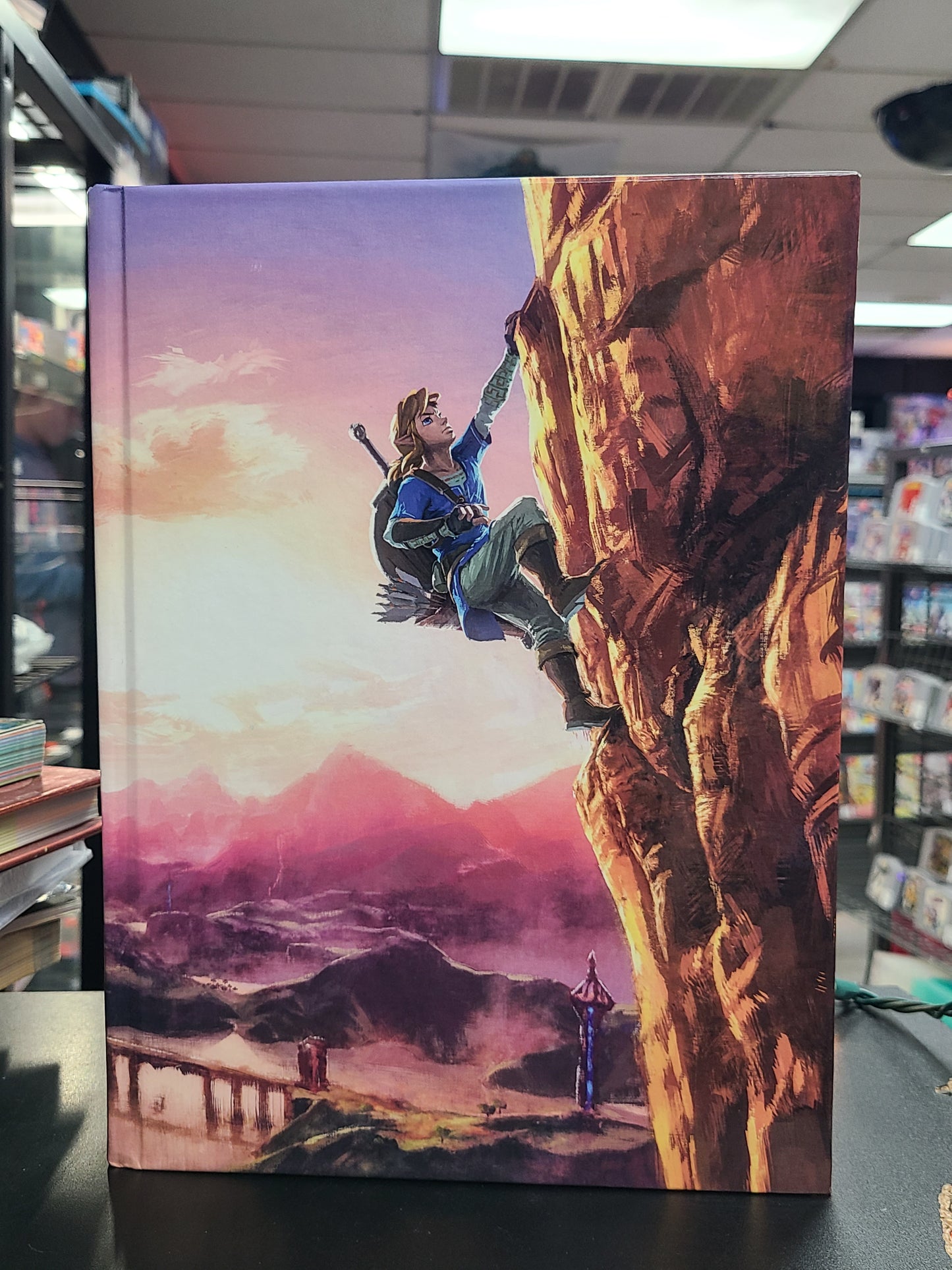 The Legend of Zelda Breath of the Wild - Nintendo Accessories