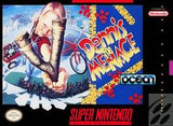 Dennis the Menace - SNES