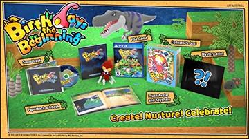 Birthdays the Beginning [Limited Edition] - PlayStation 4