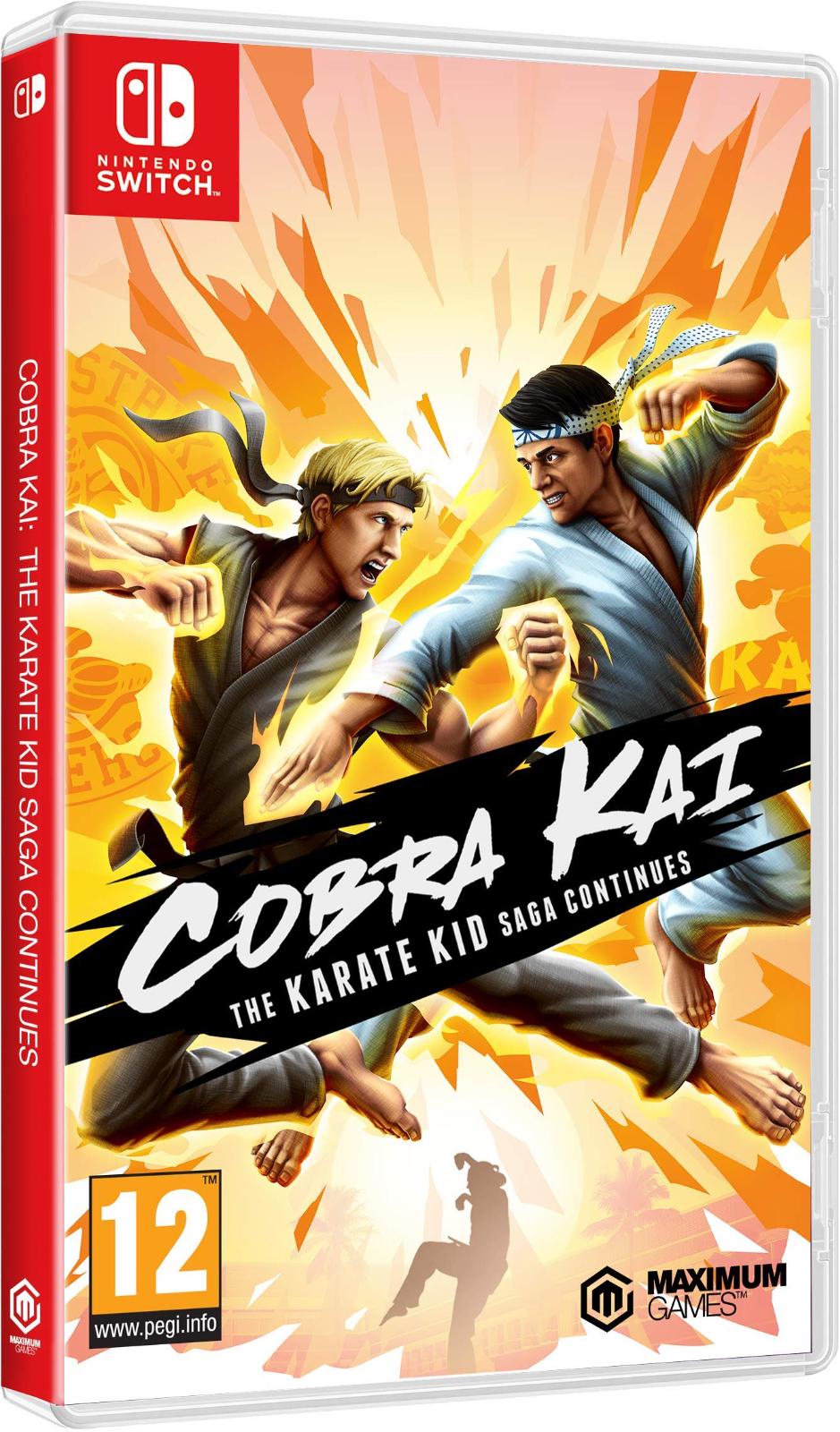 Cobra Kai: The Karate Kid Saga Continues - PAL Nintendo Switch [Import]