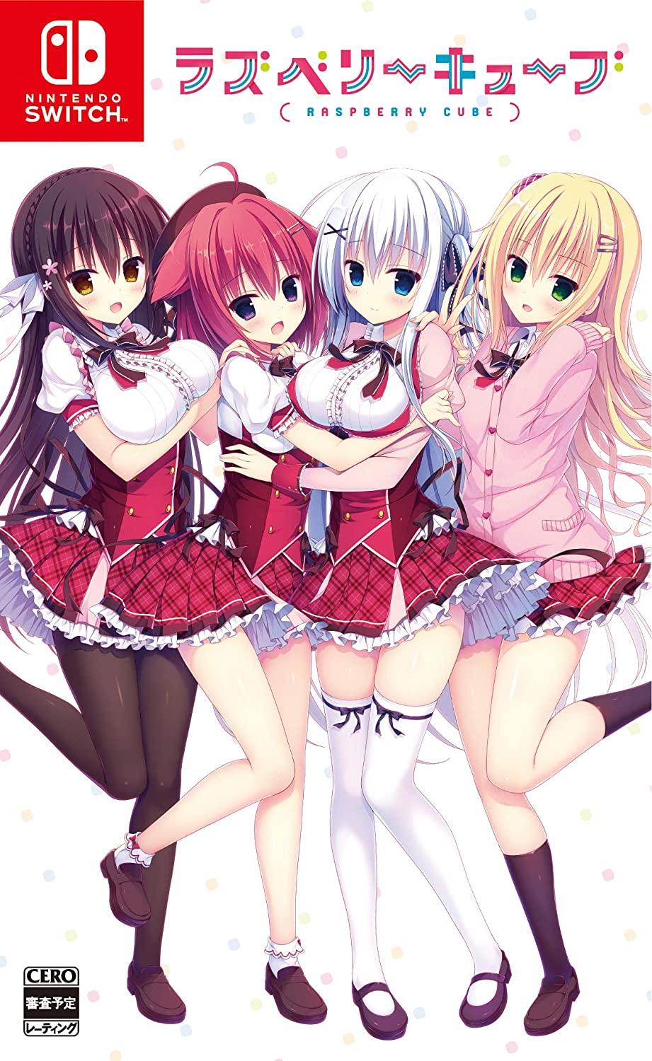 Raspberry Cube - JP Nintendo Switch [Import]