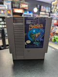 Solstice: The Quest for the Staff of Dreams - NES