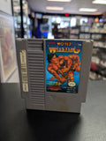 Tecmo World Wrestling - NES