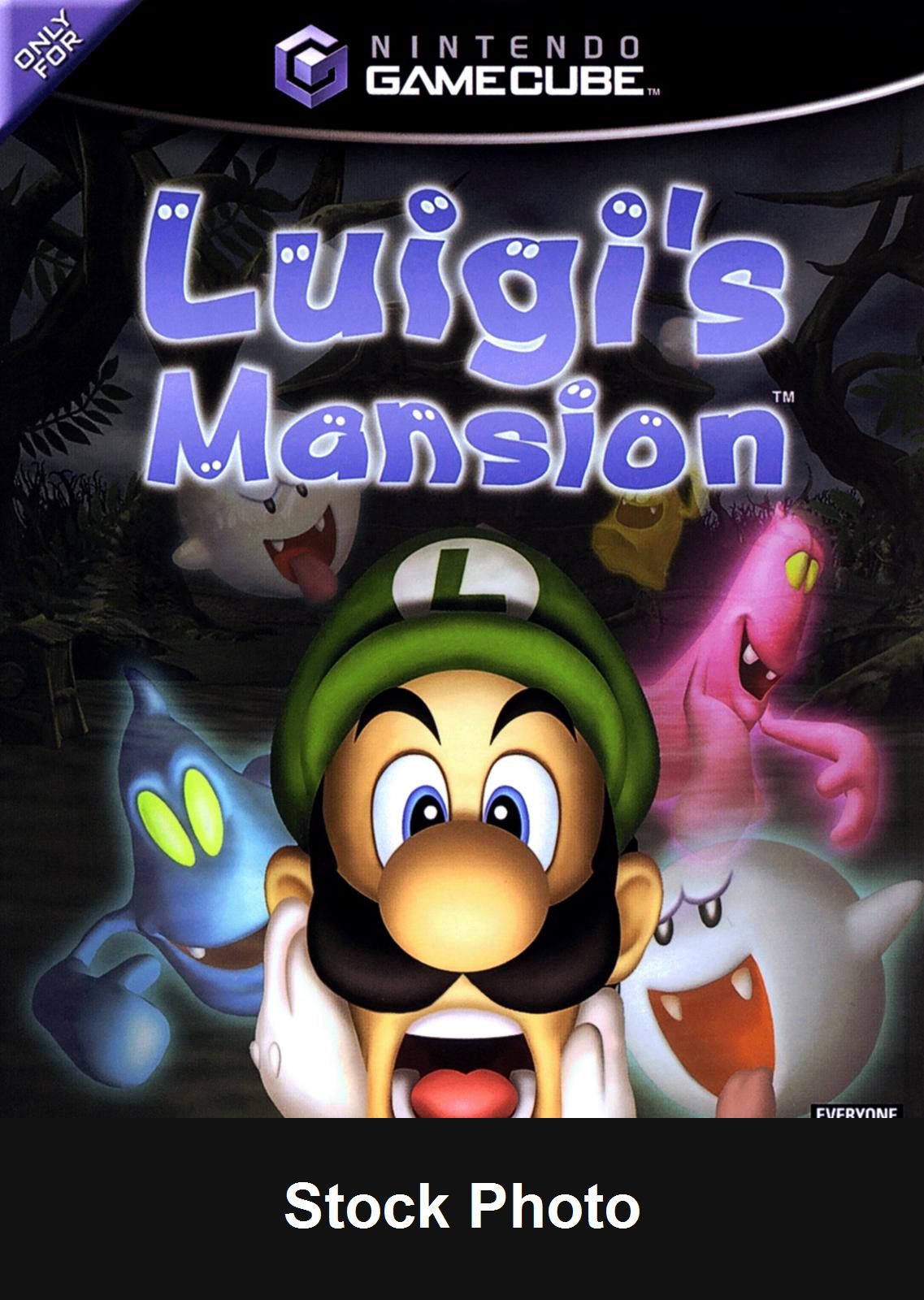 Luigi's Mansion - GameCube
