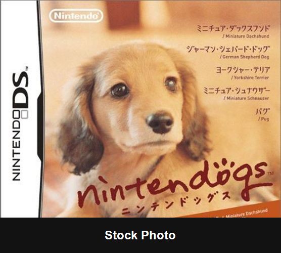 Nintendogs: Miniature Dachshund & Friends - Nintendo DS
