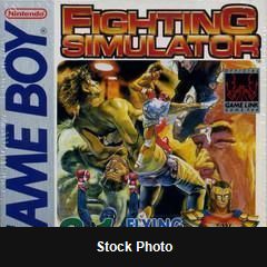 2 In 1: Flying Warriors / Fighting Simulator - Game Boy