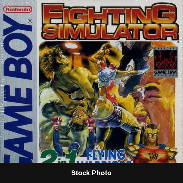 Fighting Simulator: 2-in-1 Flying Warriors - PAL Game Boy [Import]