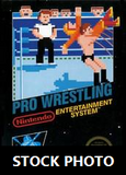Pro Wrestling - NES