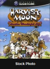 Harvest Moon Another Wonderful Life - Gamecube