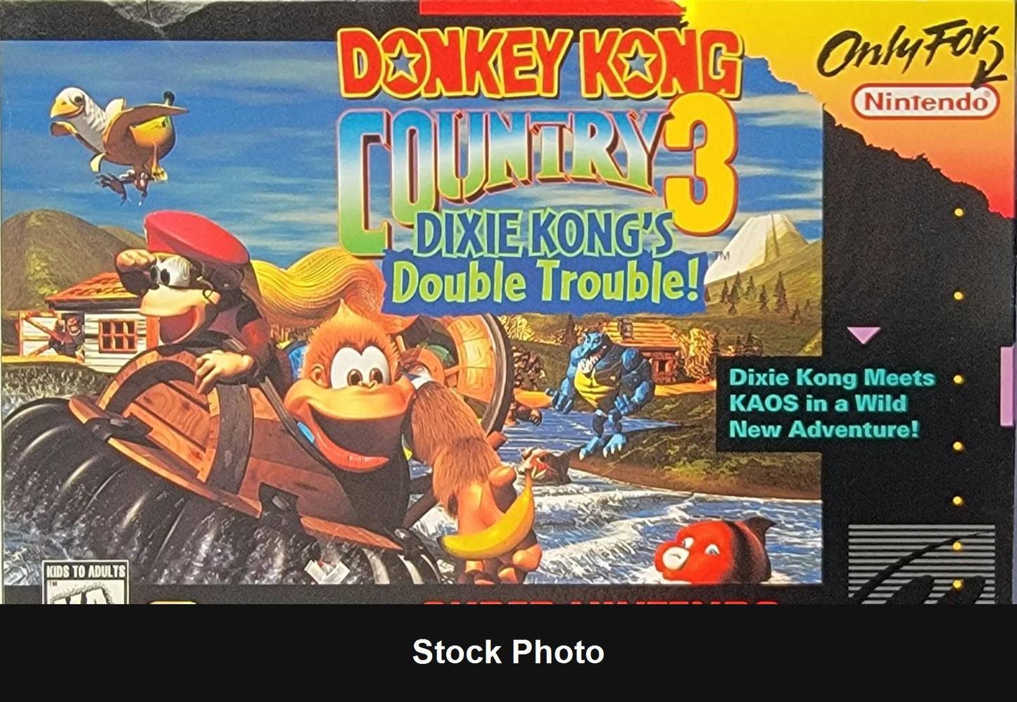 Donkey Kong Country 3 - Super Nintendo