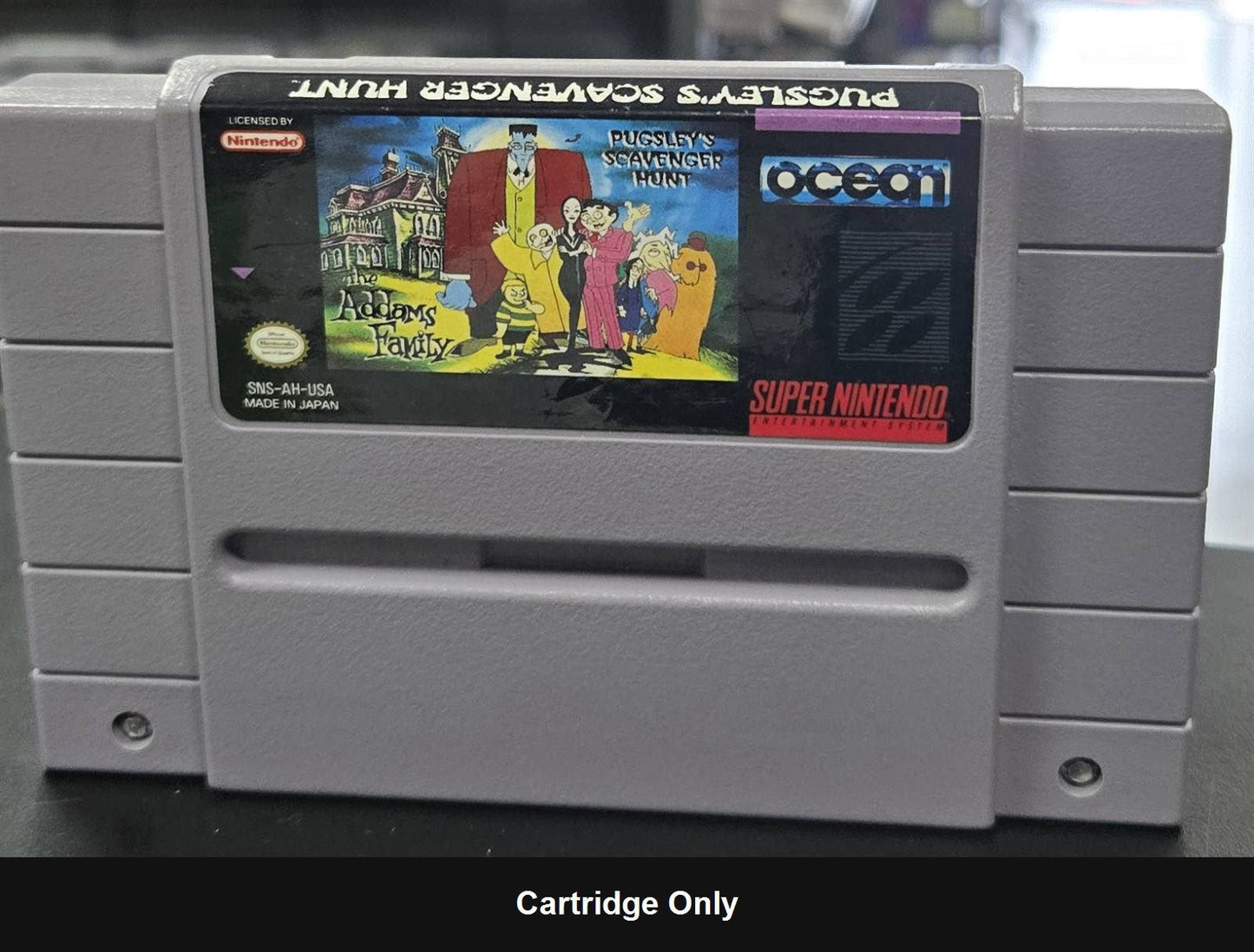 Addams Family Pugsley's Scavenger Hunt - Super Nintendo