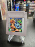 Fortress of Fear - Game Boy