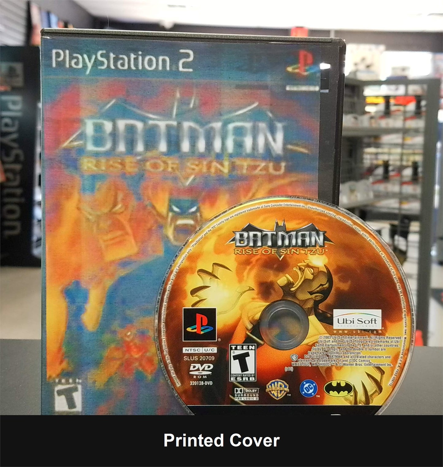 Batman Rise of Sin Tzu - PlayStation 2