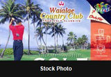 Waialae Country Club - Nintendo 64