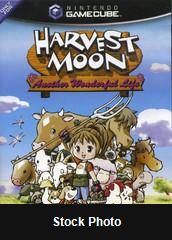 Harvest Moon Another Wonderful Life - Gamecube
