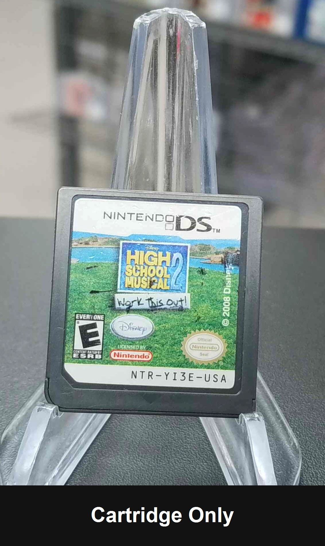 High School Musical 2 Work This Out - Nintendo DS