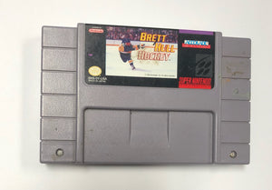 Brett Hull Hockey [Label Damage] *Cartridge Only*